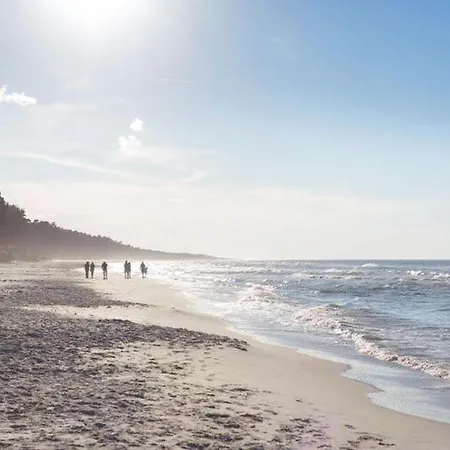 Wooden House In Near Baltic Sea *