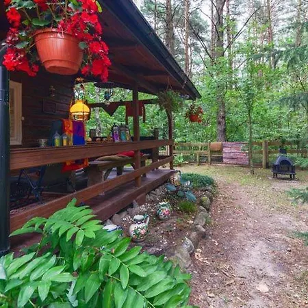 Wooden House In Near Baltic Sea Dom wakacyjny