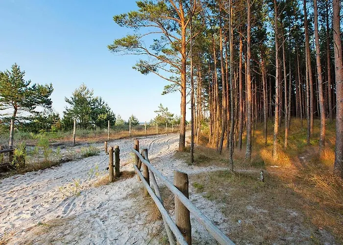 Wooden House In Near Baltic Sea * Dębki